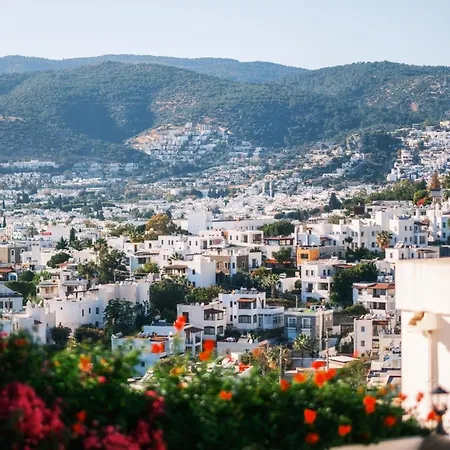 Lux W Sea View Terrace - 3 Wac Vila *